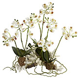 14 inch Indoor Silk Mini Phalaenopsis Orchid Arrangement Set in Coral