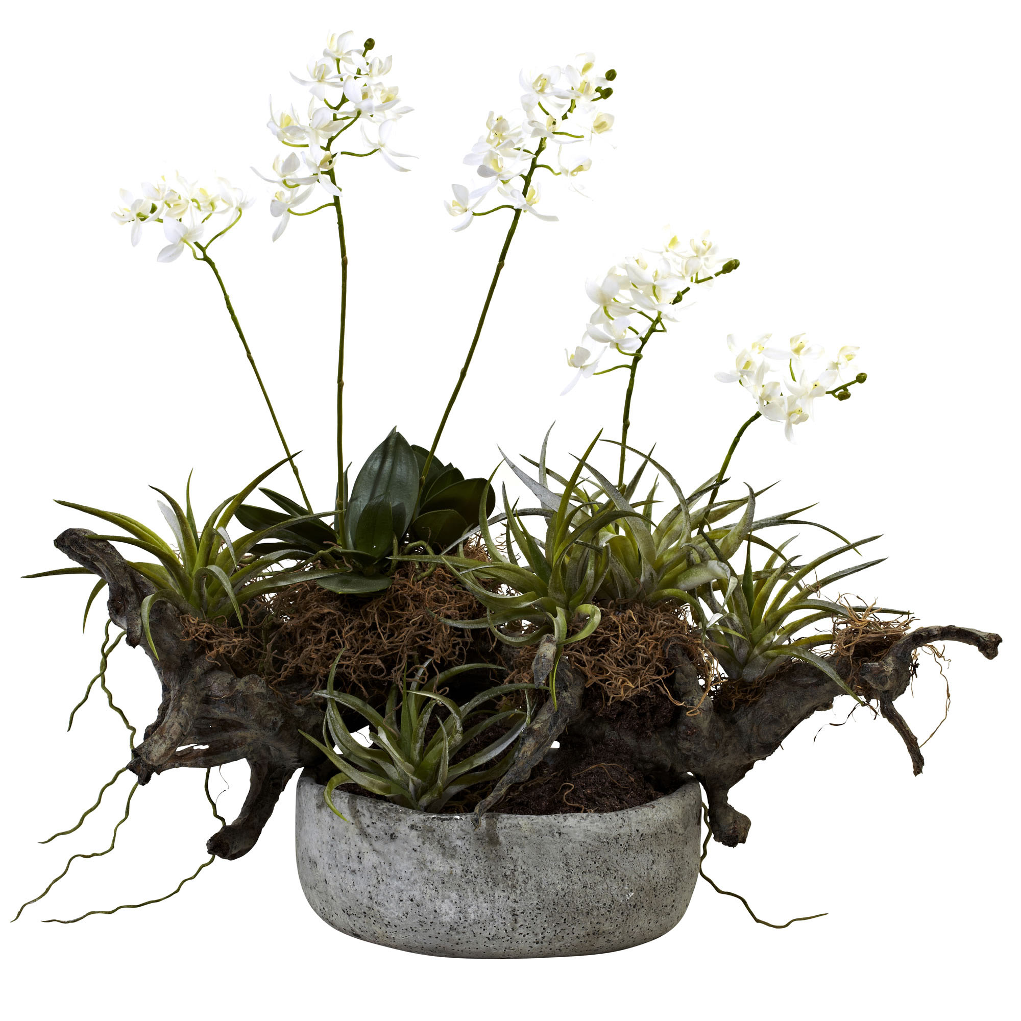 20 Inch Indoor Orchid & Succulent Garden With Driftwood & Decorative Vase