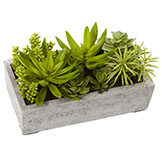 6.5 inch Indoor Silk Succulent Garden Arrangement in Concrete Planter