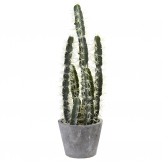 27.5 inch Decorative Indoor Silk Cactus Garden in Cement Planter
