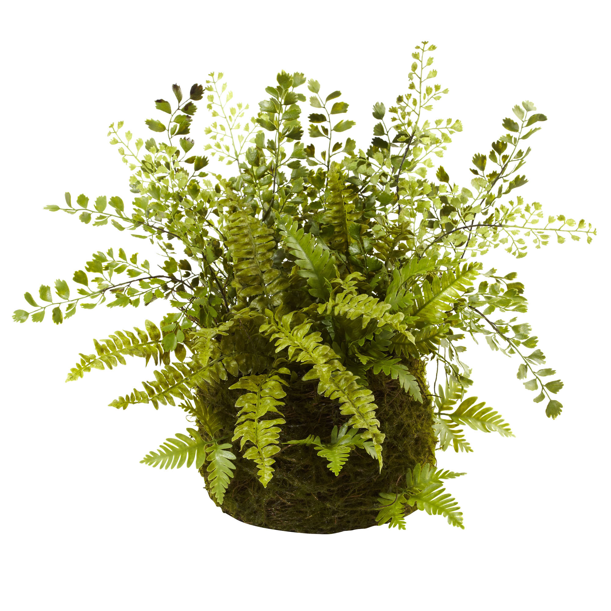 13 inch Indoor Silk Mixed Fern Arrangement in Twig & Moss Basket