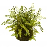 13 inch Indoor Silk Mixed Fern Arrangement in Twig & Moss Basket