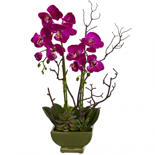 21 inch Indoor Silk Orchid & Succulent Arrangement in Green Ceramic Vase