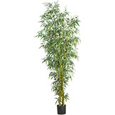 8 foot Indoor Fancy Style Bamboo Silk Tree: Potted