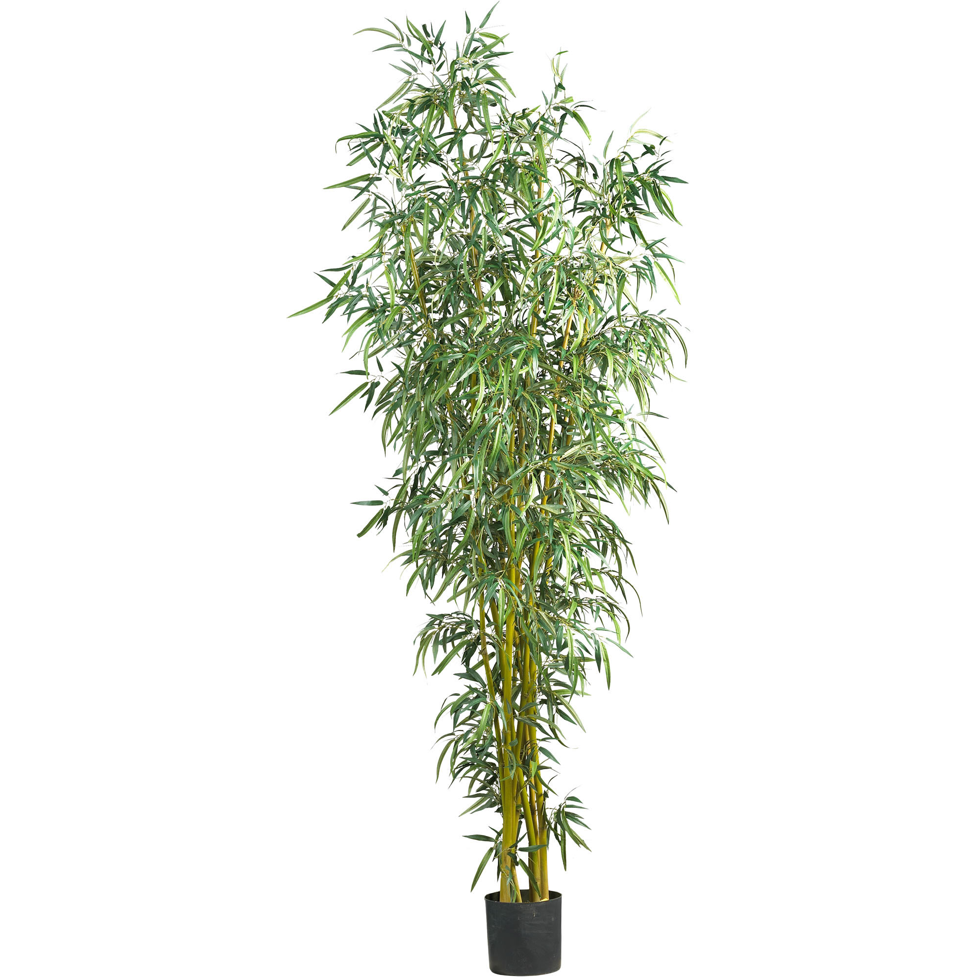 8 foot Indoor Fancy Style Bamboo Silk Tree: Potted | 5195