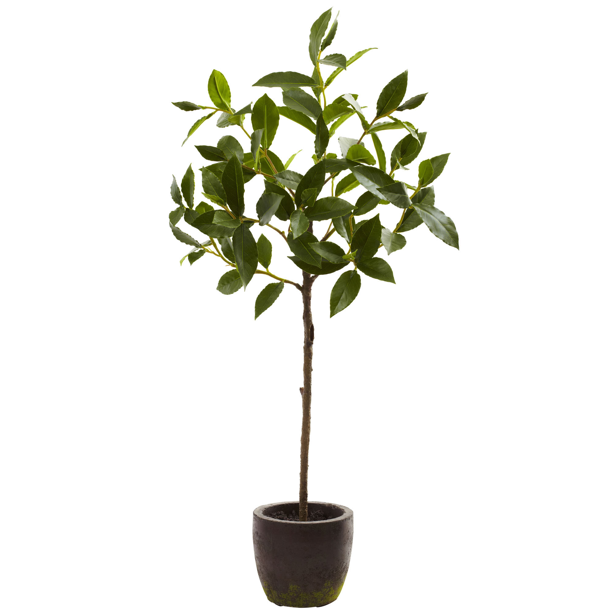29 Inch Indoor Silk Olive Leaf Tree In Decorative Planter