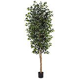8 foot Indoor Silk Ficus Tree: Potted
