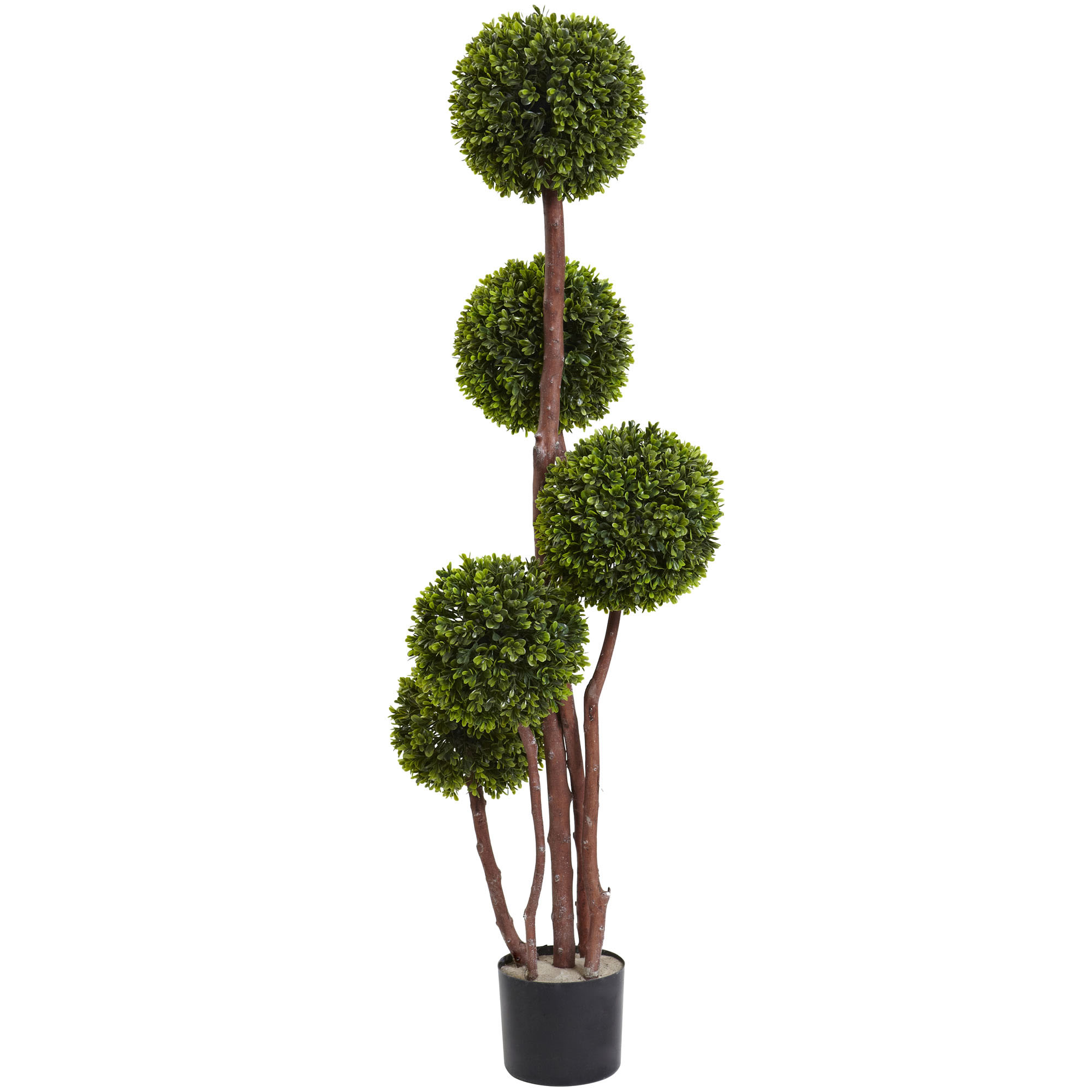 4 Foot Uv Resistant 5 Trunk Outdoor Boxwood Topiary: Potted