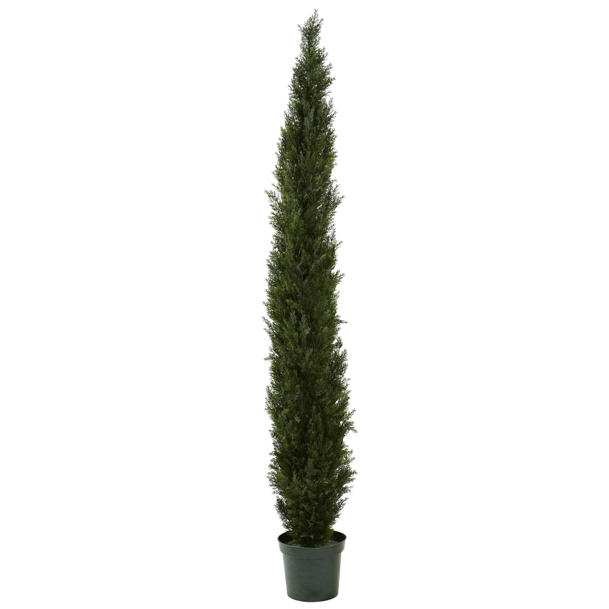 8 foot Slim Cedar Pine Tree: Potted (Not UV Protected)