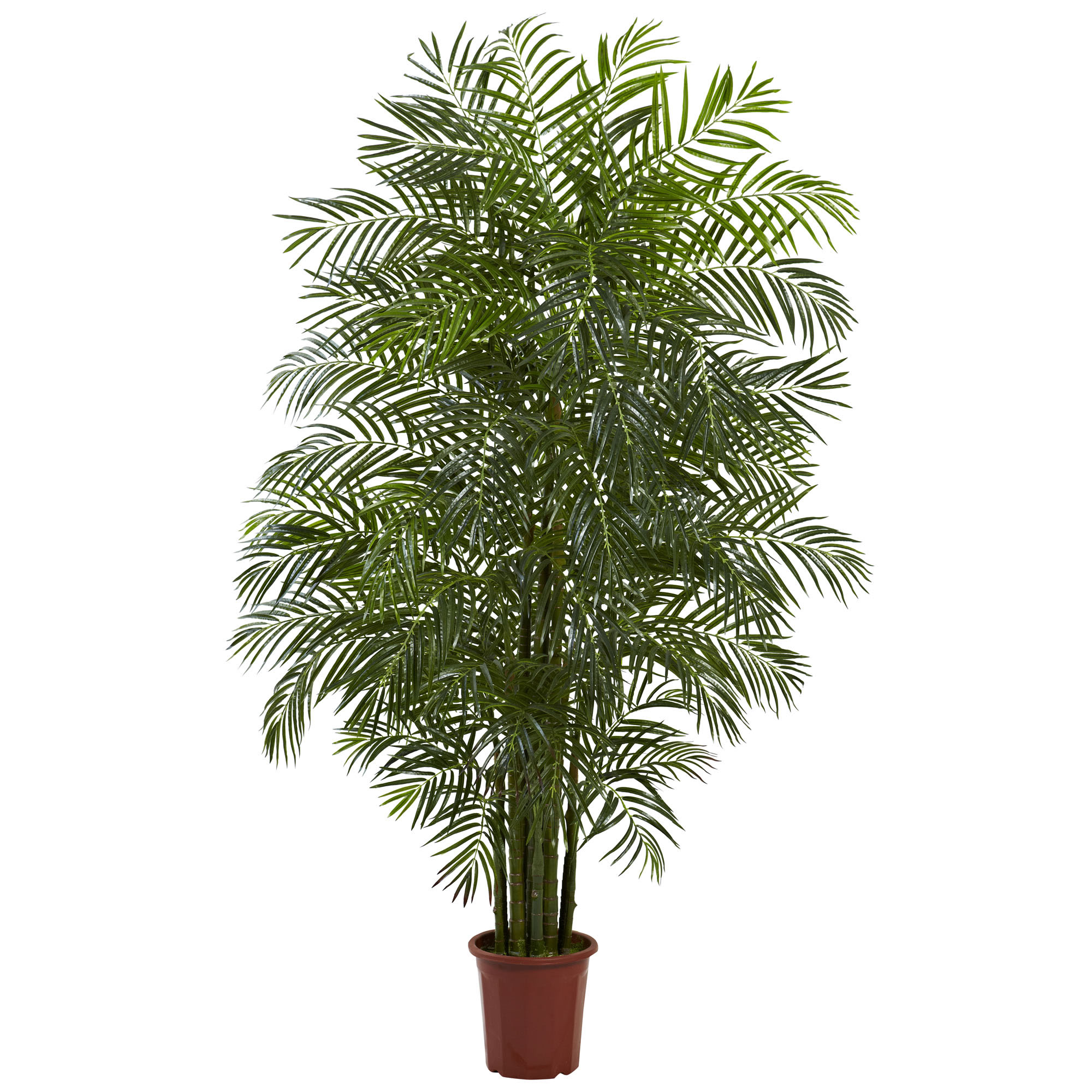 7.5 Foot Outdoor Areca Palm Tree: Limited Uv