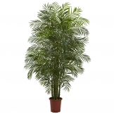 7.5 foot Outdoor Areca Palm Tree: Limited UV
