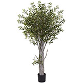 6 foot Indoor Silk Olive Tree: Potted