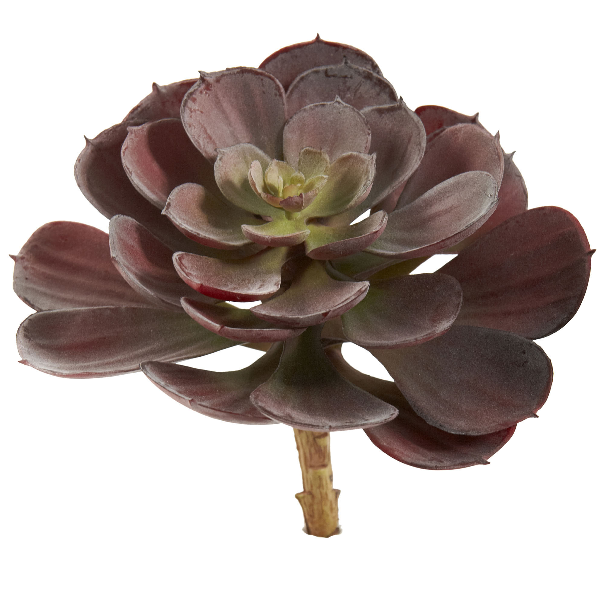 6 inch Indoor Silk Echeveria Succulent (Set of 12 Unpotted)