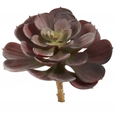 6 inch Indoor Silk Echeveria Succulent (Set of 12 Unpotted)