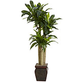 4.5 foot Real Touch Indoor Cornstalk Dracaena Tree in Decorative Vase