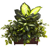 30 inch Silk Golden Dieffenbachia/Philodendron/Pothos in Wood Planter