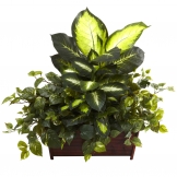 Artificial Dieffenbachia | Indoor Dieffenbachia Plants