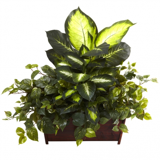 30 inch Silk Golden Dieffenbachia/Philodendron/Pothos in Wood Planter