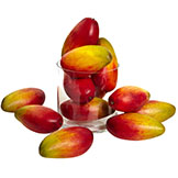 1 Dozen 5.5 inch Realistic Weighted Faux Mangos