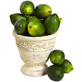 1 Dozen 3 inch Faux Limes (Set of 12)