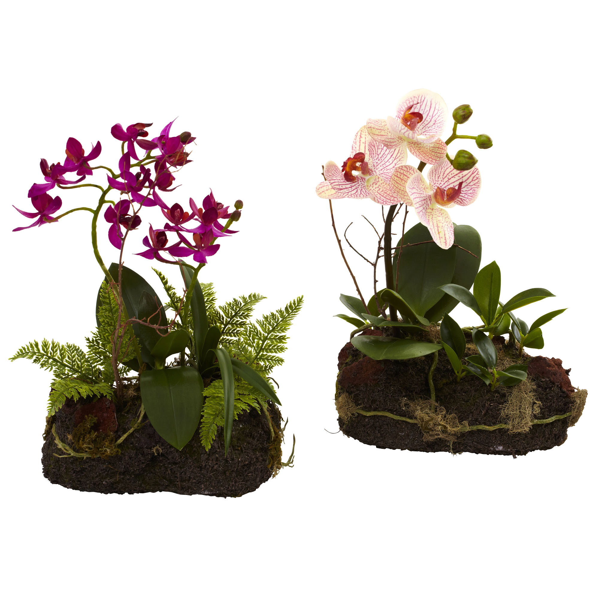 10 inch Indoor Silk Orchid Island in Realistic Root Base (Set of 2)
