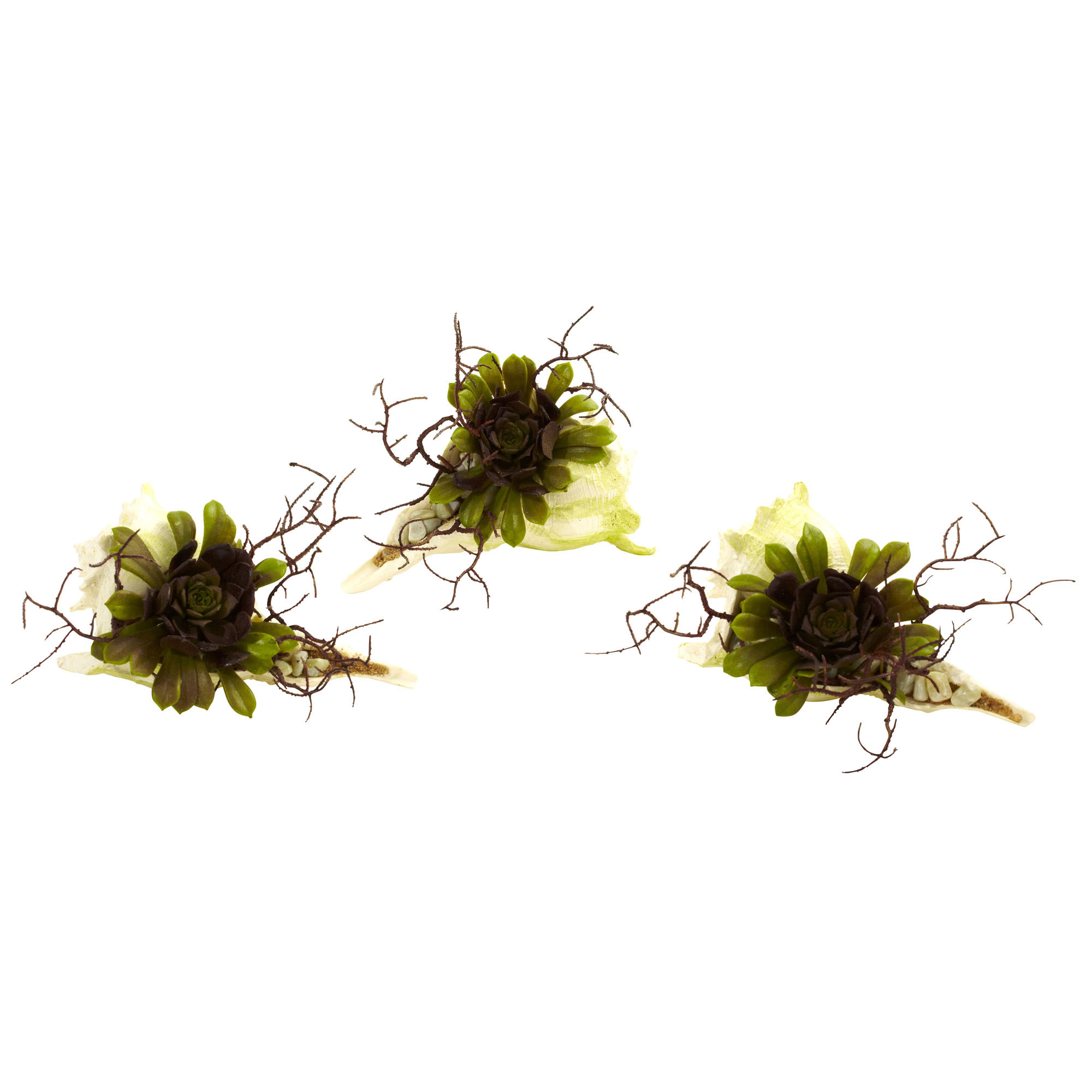 5 inch Indoor Silk Wispy Succulent in Decorative Seashell Base: Set of 3