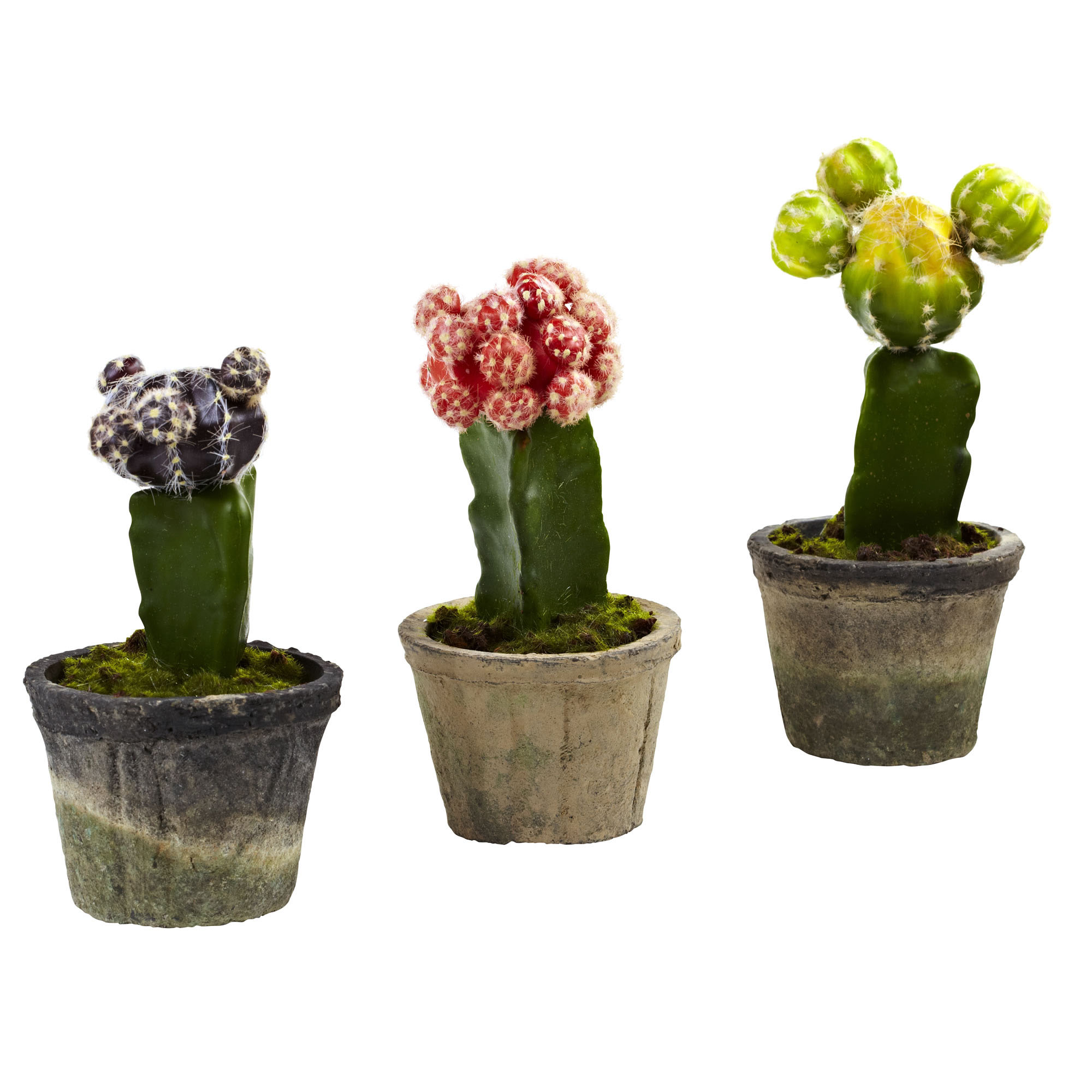 Indoor Silk Colorful Cactus (set Of 3): Potted