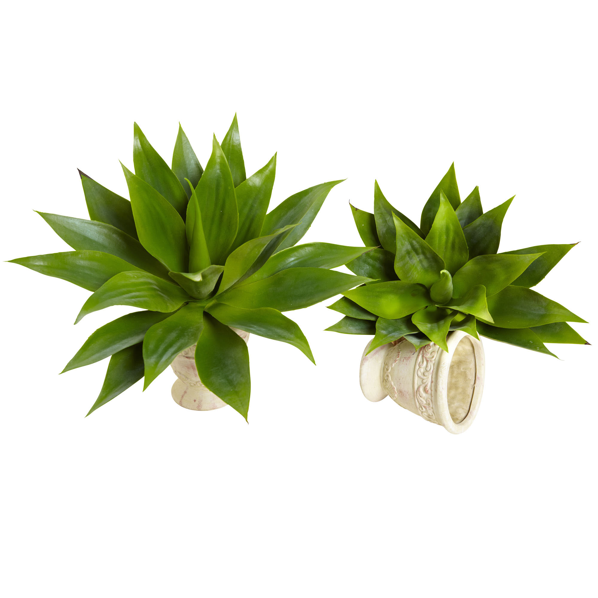 17 Inch Indoor Agave Succulent Plant (set Of 2): Unpotted