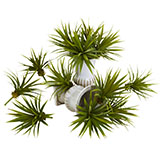 1 Dozen 6 inch Indoor Silk Mini Spiky Agave Succulent Plants