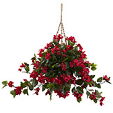 28 inch Outdoor Bougainvillea in Hanging Basket: Limited UV