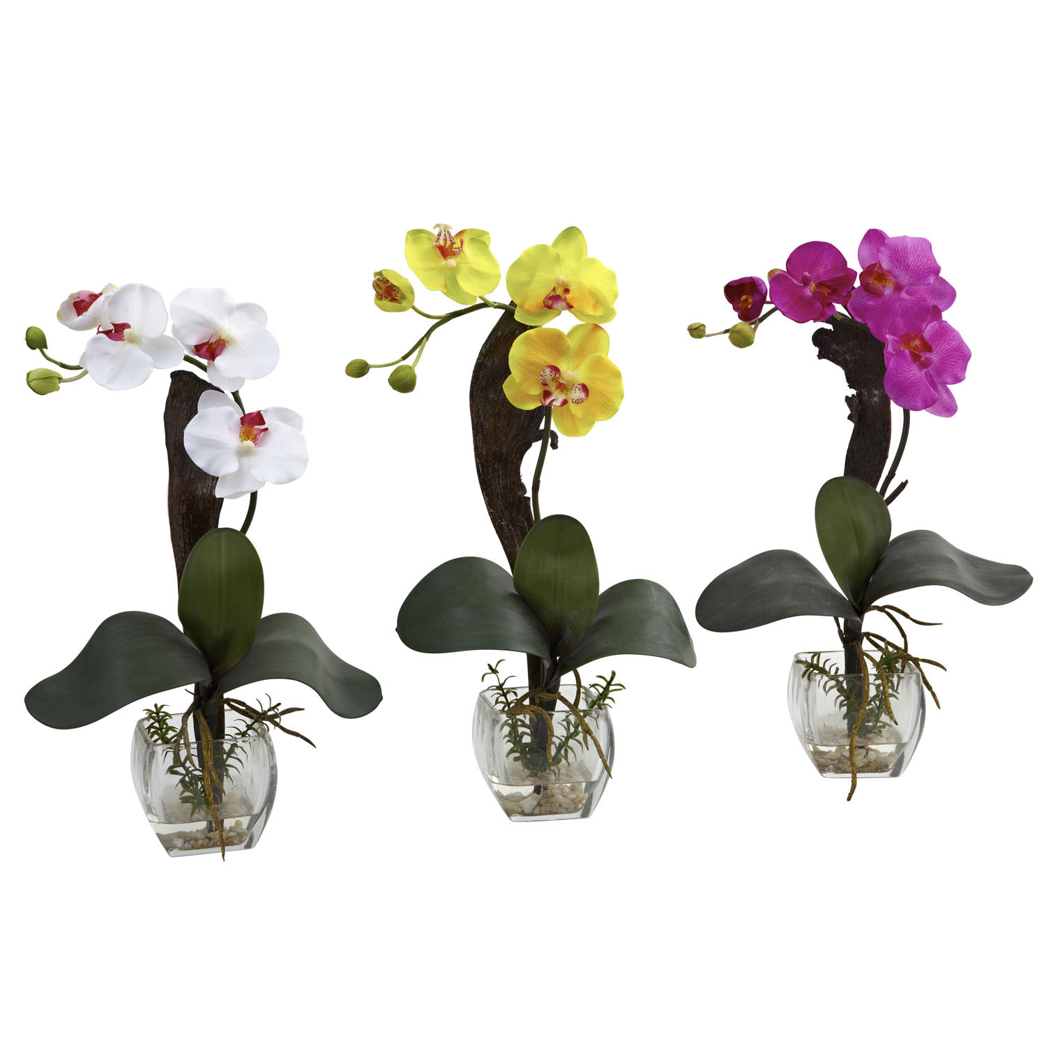 16 Inch Mini Phalaenopsis Orchid Arrangement In Glass Vase (set Of 3)