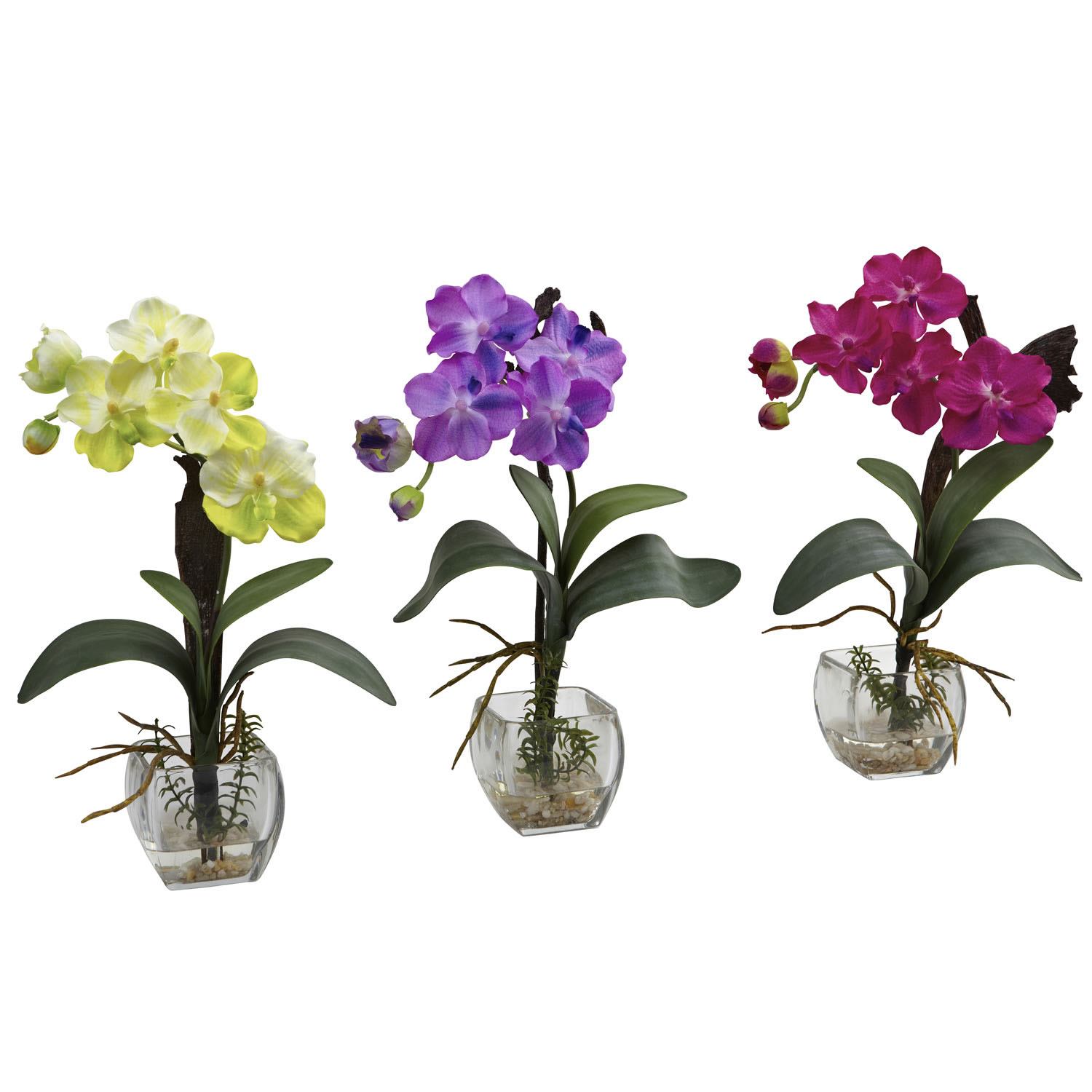 15 inch Mini Vanda Orchid Arrangement in Decorative Glass Vase (Set of 3) |  1312-S3