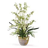 Dancing Lady Silk Orchid Arrangement