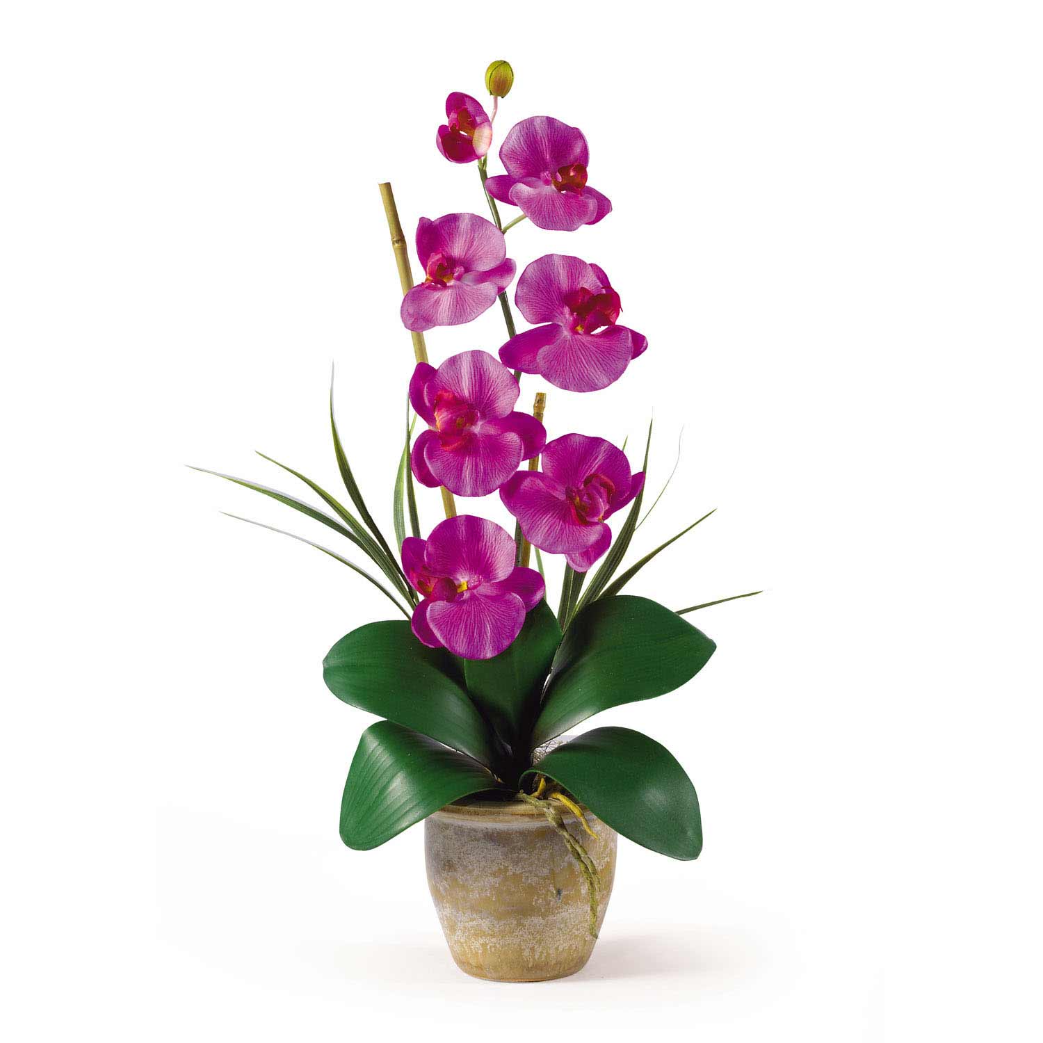 Single Stem Phalaenopsis Orchid Arrangement 1016 Nearly Natural