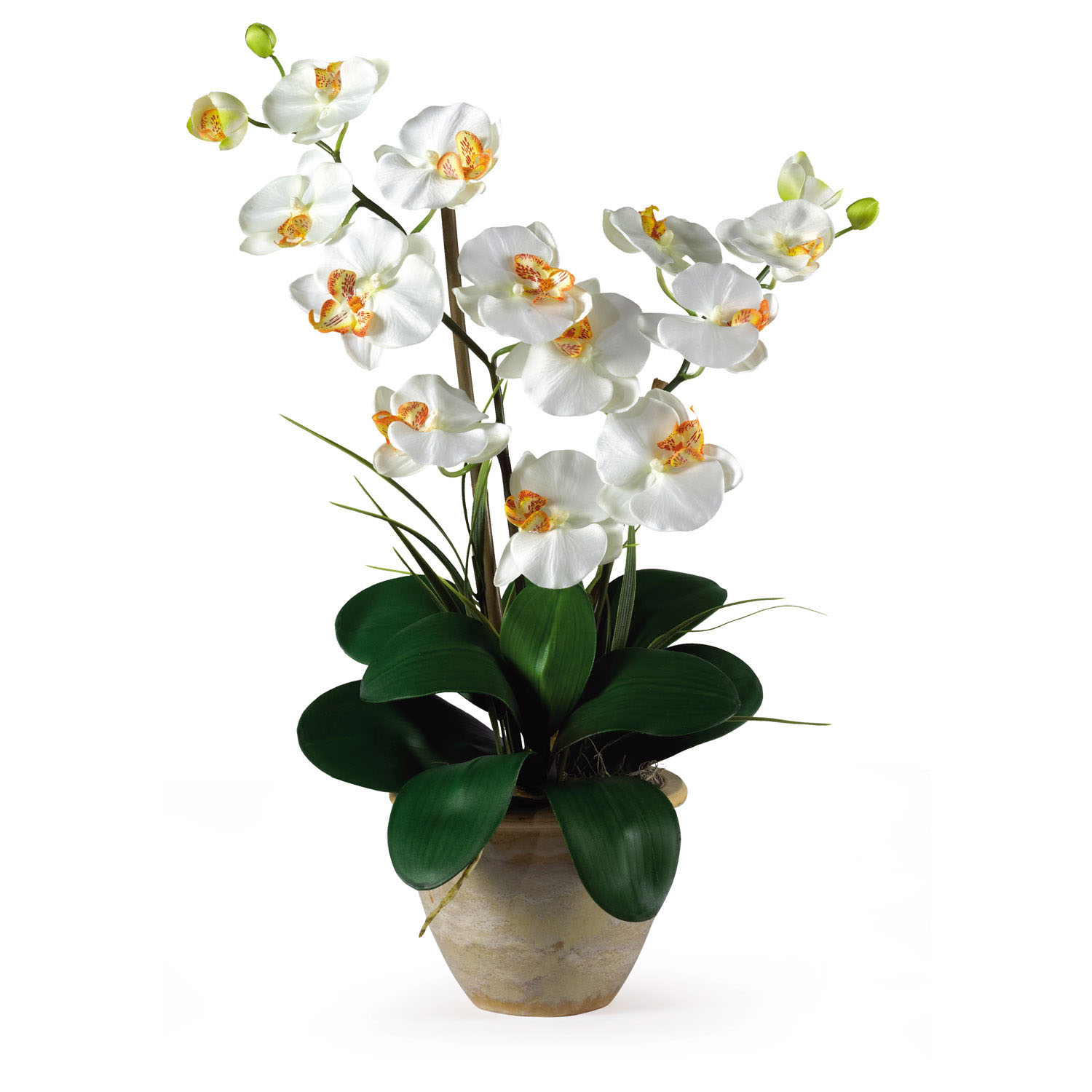 Double Stem Phalaenopsis Silk Orchid Arrangement  1026