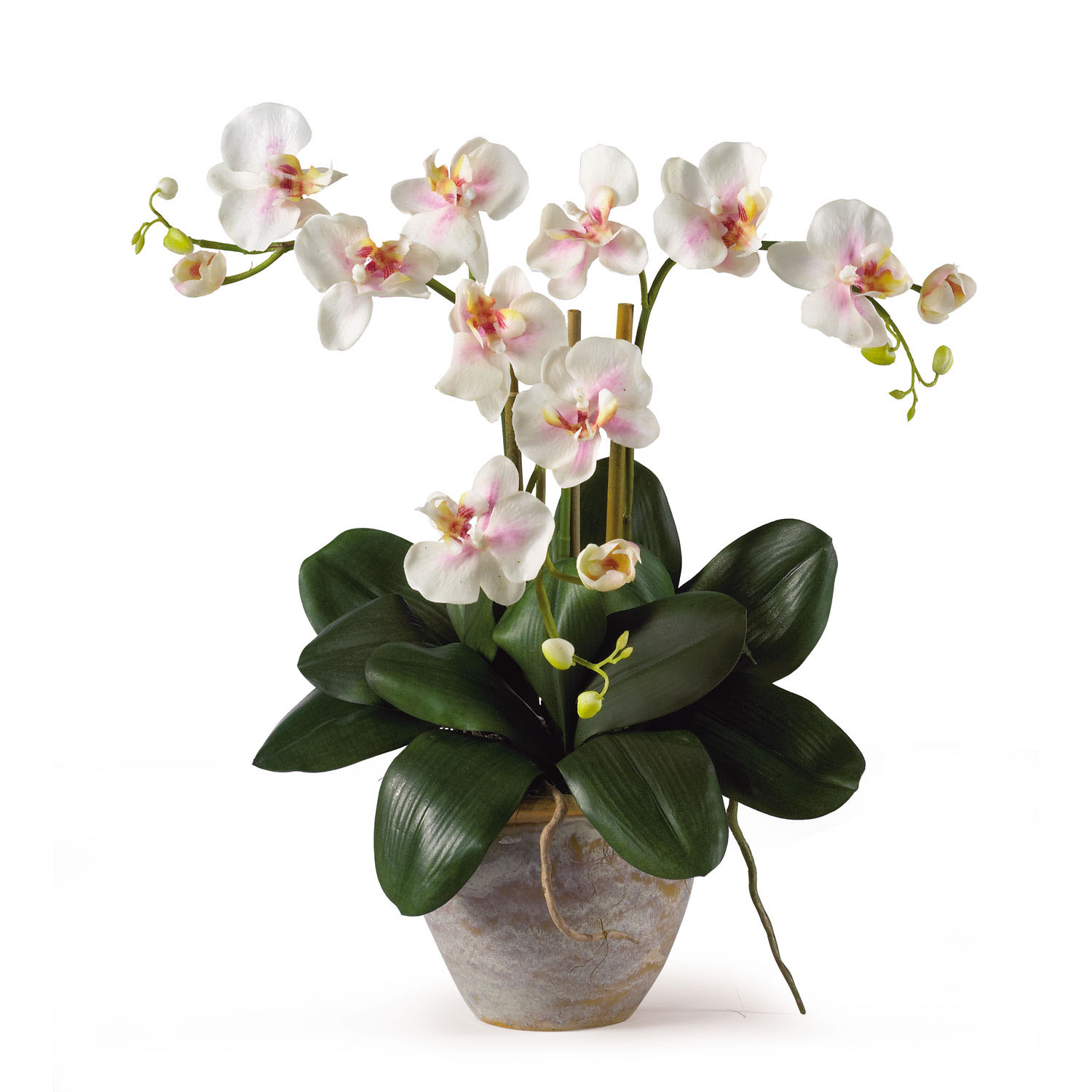 20 Inch Triple Mini Silk Phalaenopsis Orchid Arrangement In Planter