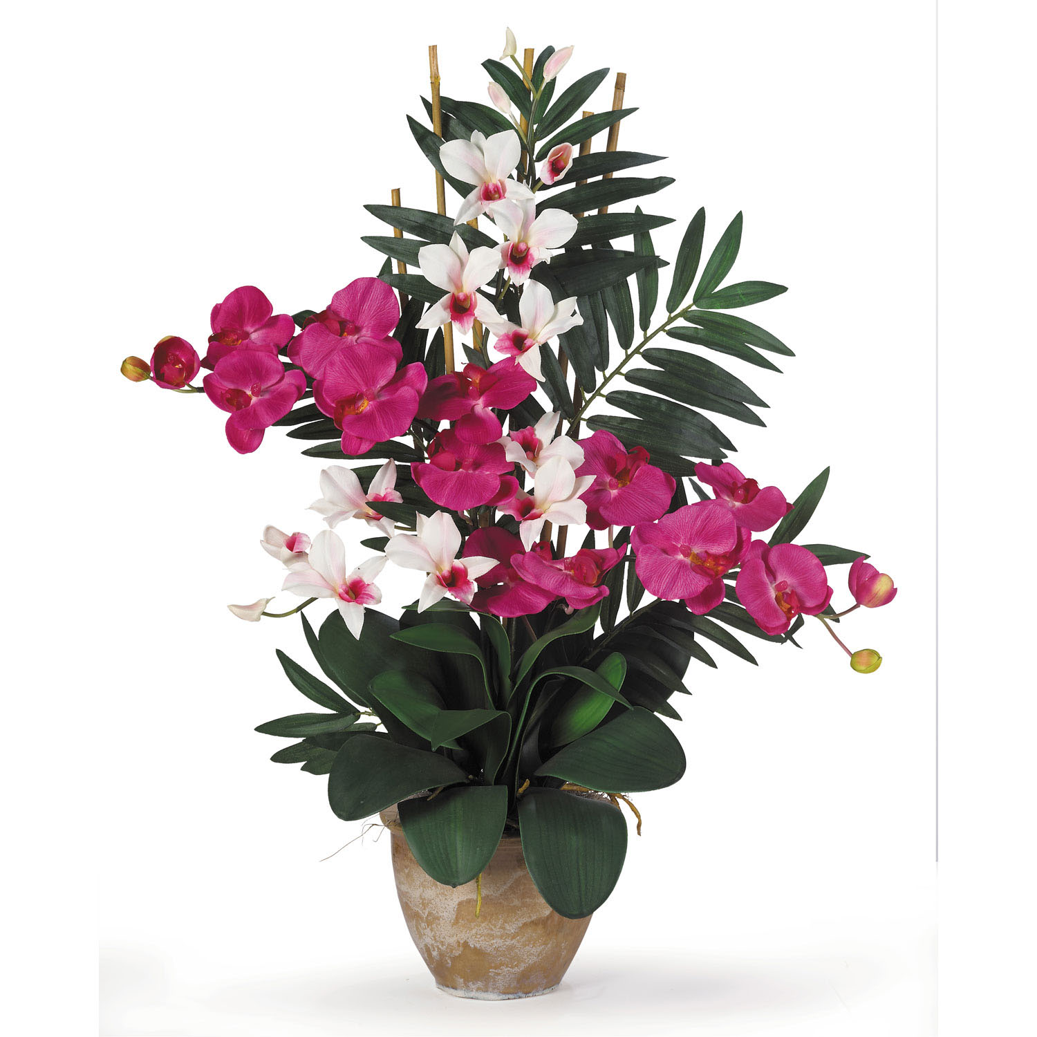 29 Inch Phalaenopsis Orchid & Dendrobium Orchid Arrangement In Planter