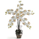 Silk Phalaenopsis Orchid Arrangement in Acrylic Water