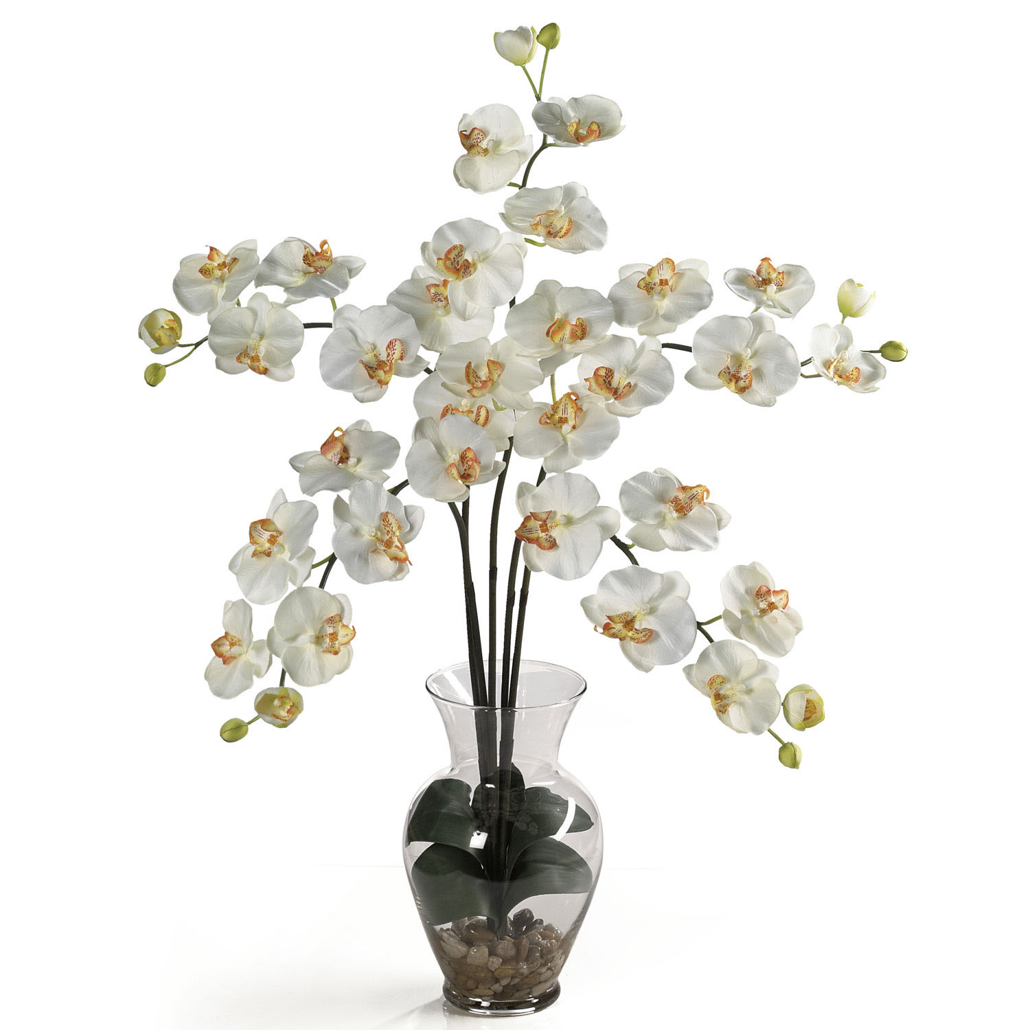 Silk Phalaenopsis Orchid Arrangement in Acrylic Water