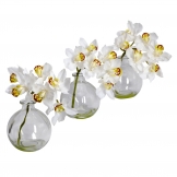 Silk Cymbidiums in Vases (Set of 3)