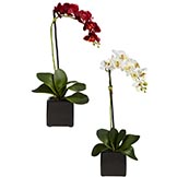 Silk Phalaenopsis Orchids in Black Vase (Set of 2)