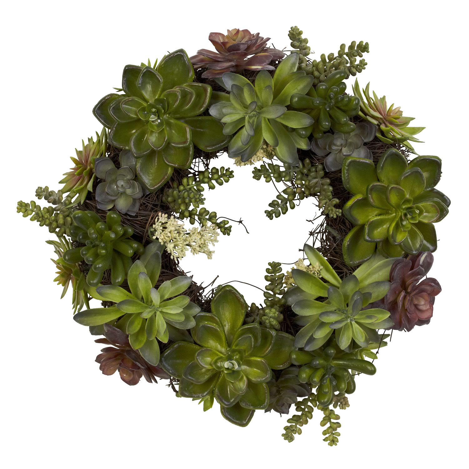 20 inch Succulent Wreath