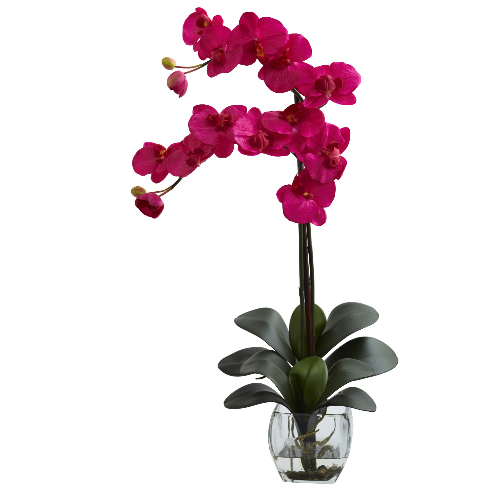 27 Inch Silk Double Phalaenopsis Orchid Arrangement In Vase