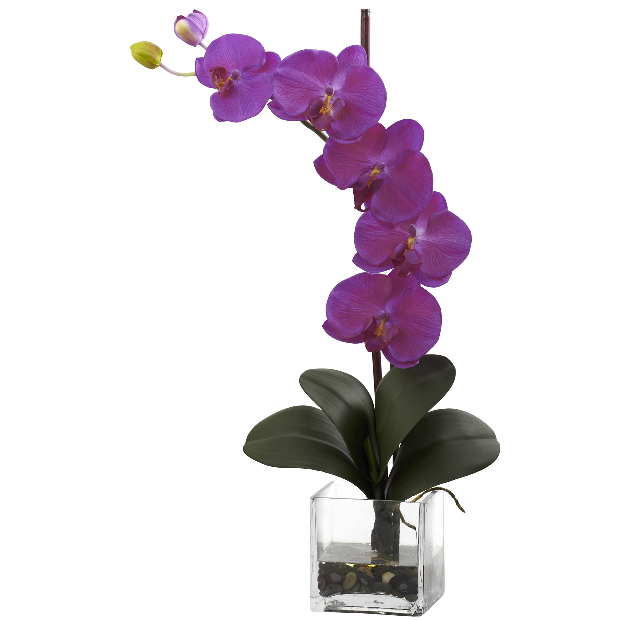 26 Inch Silk Giant Phalaenopsis Orchid Arrangement In Vase