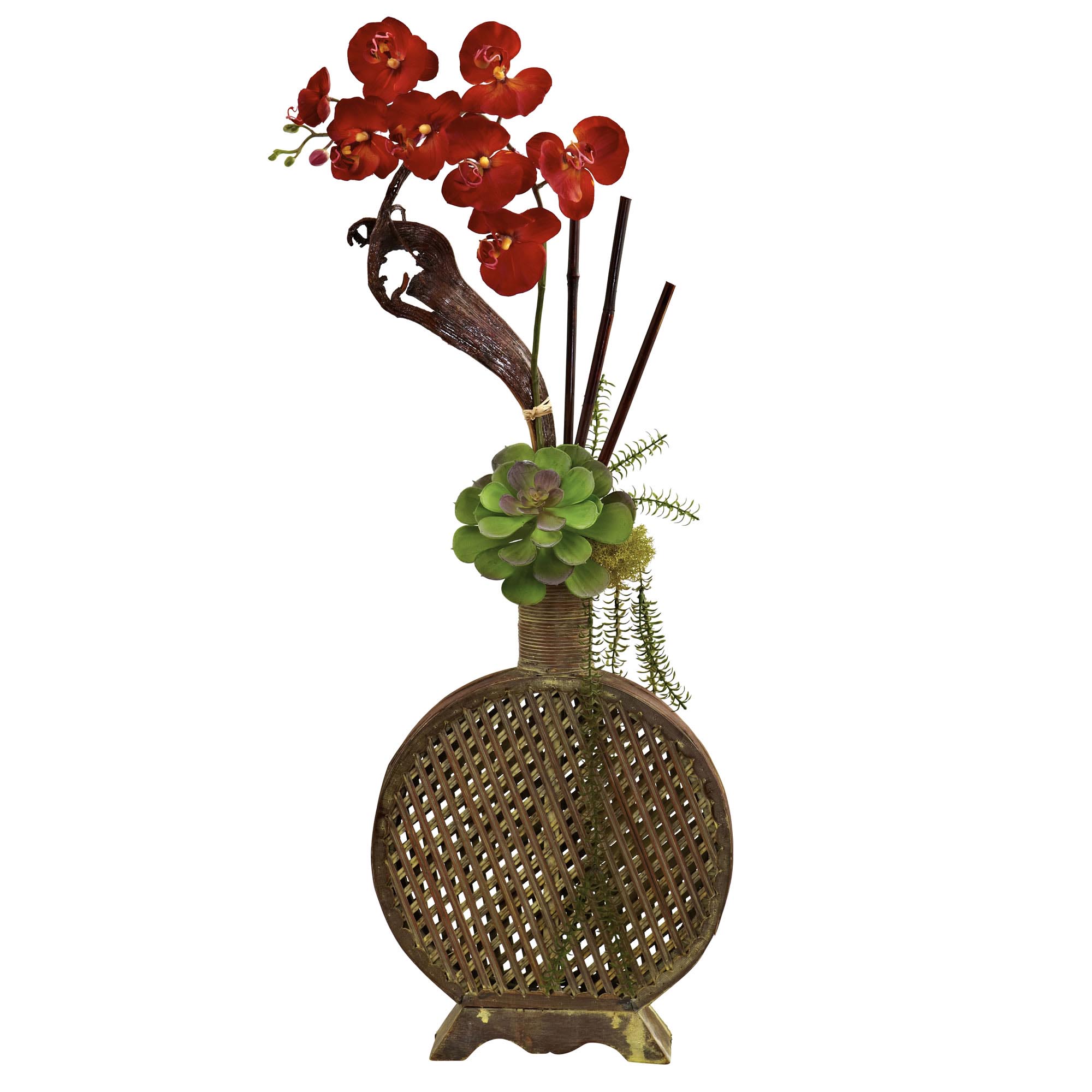 34 inch Silk Orchid, Succulent Sunrise Arrangement