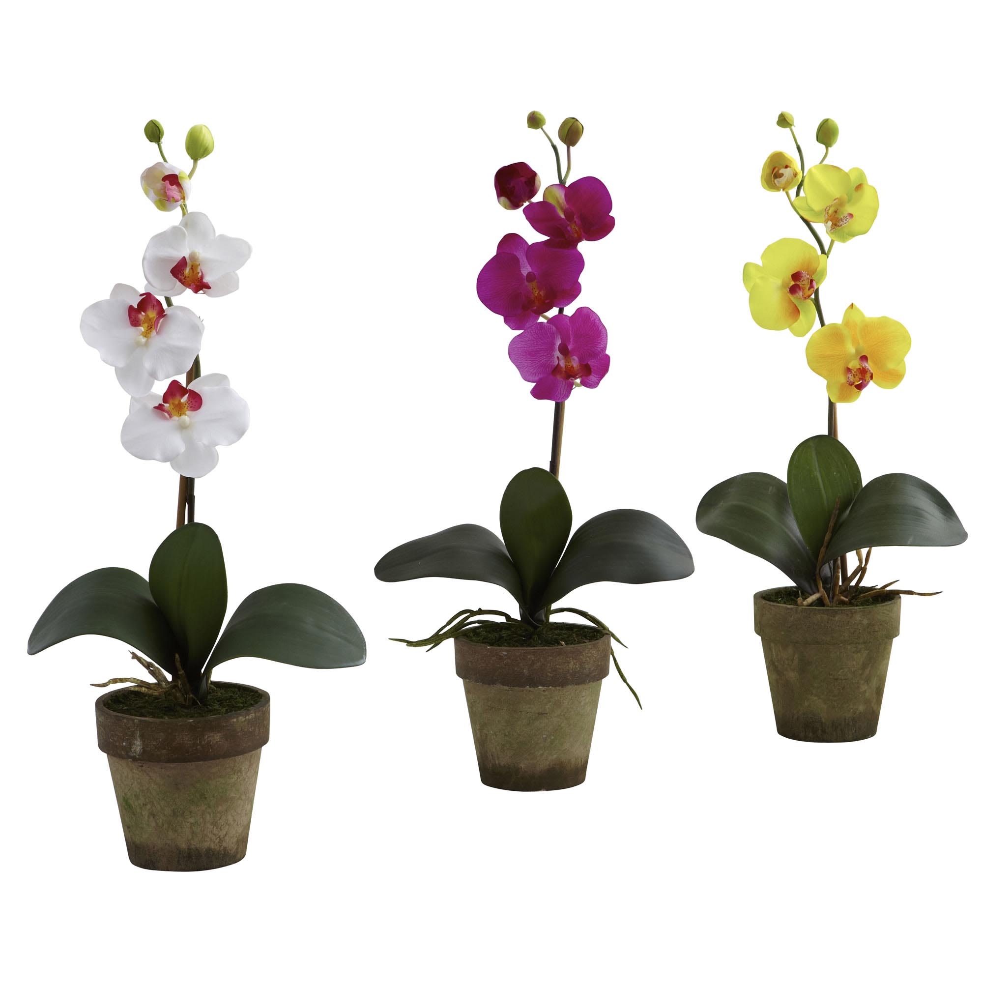 19 Inch Artificial Potted Phalaenopsis In Vase (set Of 3)
