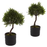 11.5 inch Artificial Cedar Bonsai in Planter (Set of 2)