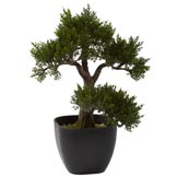 15 inch Artificial Cedar Bonsai in Planter