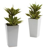 11.5 inch Artificial Double Mini Agave in Planter (Set of 2)