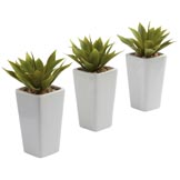 9 inch Artificial Mini Agave in White Planter (Set of 3)
